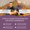 Real Mushrooms Chaga Mushroom Capsules – Organic Chaga Extract Powder
