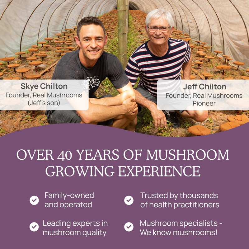 Real Mushrooms Chaga Mushroom Capsules – Organic Chaga Extract Powder