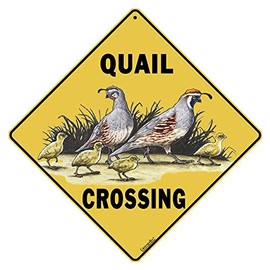 CROSSWALKS Quail Crossing 12" X 12" Aluminum Sign (X143)