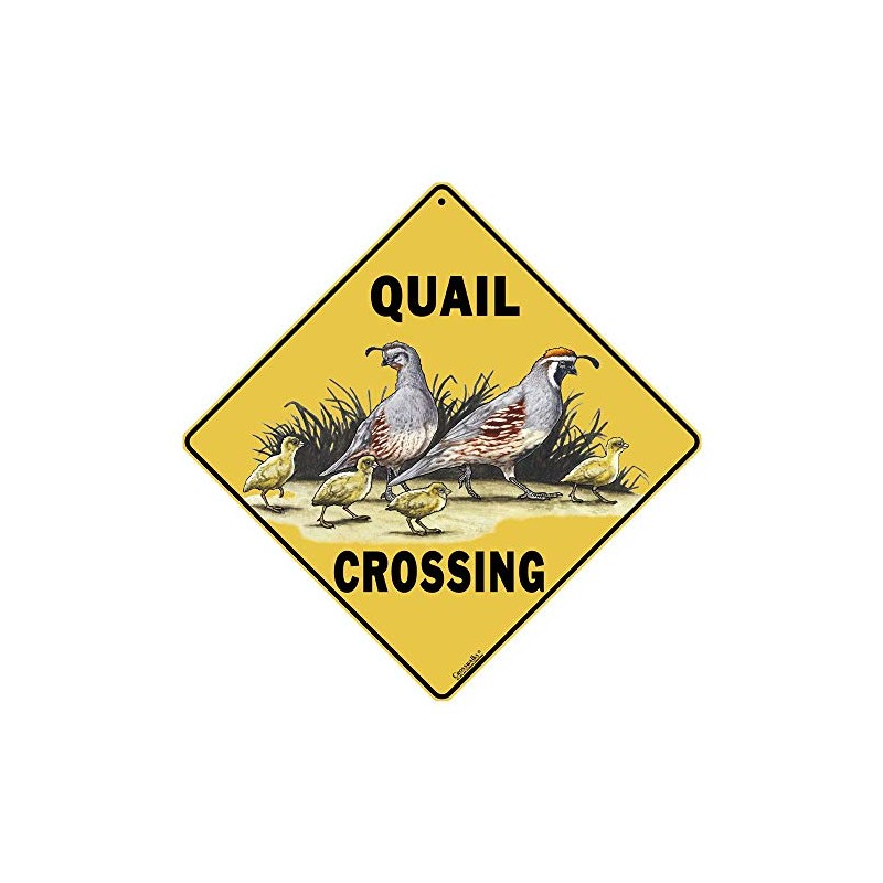 CROSSWALKS Quail Crossing 12" X 12" Aluminum Sign (X143)
