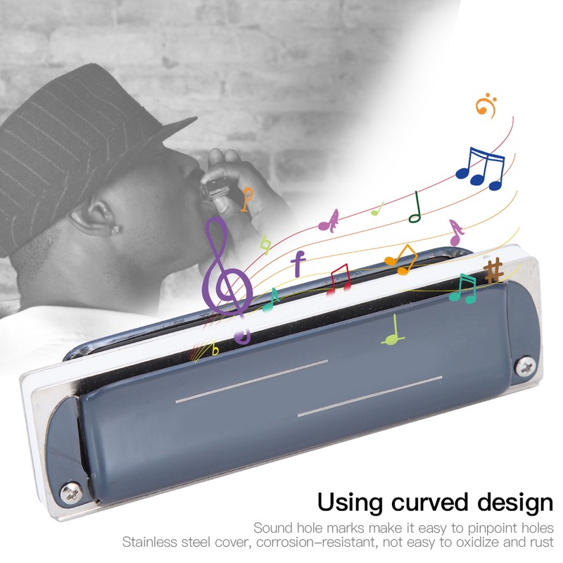 Blues Harp Harmonica 10‑Hole Professional Mouthorgan G Key Gifts Stainless