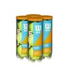 Wilson Profile All Court Tennis Ball - 4 Can Pack,