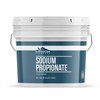 Earthborn Elements Sodium Propionate, 1 Gallon, Food Grade, Food Additive