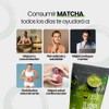 Zen Tea Té Verde Matcha Natural y Orgánico Sin Azúcar