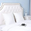RICHAIR - Waterproof cushion cover, set of 2, 60 x