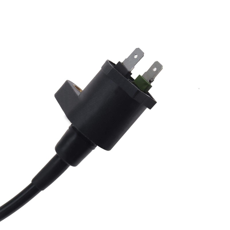 SING F LTD 2 Pin Ignition Coil Spark Plug Lead