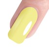 Vishine Nail Gel Polish, 15ml Soak Off Nail Gel Polish
