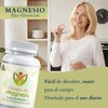 Fort Core - Akkermansia + Polifenoles - Suplemento Alimenticio -