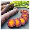 Everwilde Farms - 1 Oz Cosmic Purple Carrot Seeds -