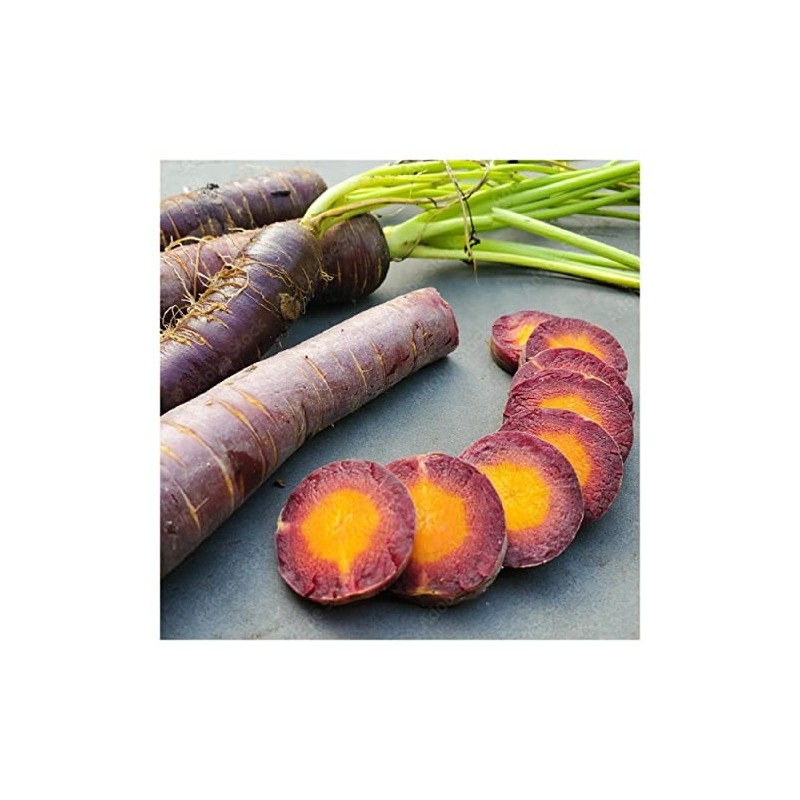 Everwilde Farms - 1 Oz Cosmic Purple Carrot Seeds -