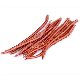 Fishing Lures Soft Bait Set, 3 Pack (10pcs/Pack) Sea Worms, Sandworm Earthworm Design, Red Orange Brown