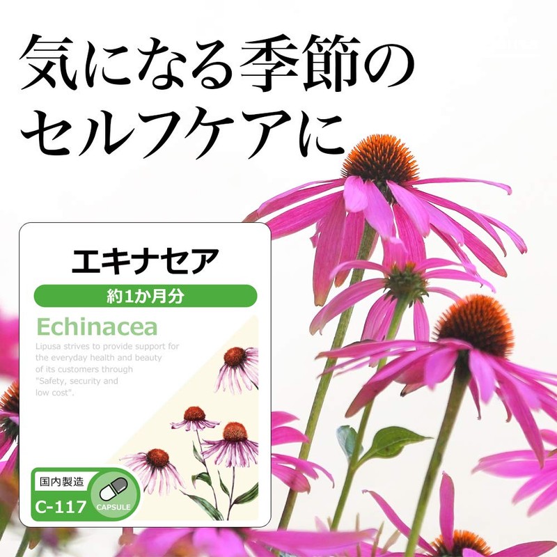 Lipsa Echinacea C-117 (60 Capsules), Supplement, Self-Care, Health, Beauty, Diet,