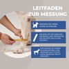 Nature Pet Medium Rehab Bandage for the Front of the