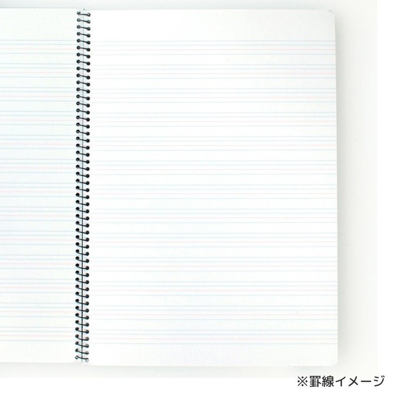 Maruman N524A-02 Notebook, English Character Rule, B5, 13 Tiers, Blue