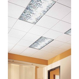 Fluorescent Light Covers for Ceiling Lights Turquoise Eucalyptus Leaves Magnetic Light Filters 4 Pack 4x2 ft Berry Branch Plant Ceiling Light Cover for Classroom Office School Home Drop Lamp Decor