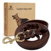 FAIRWIN Braided Leather Dog Training Leash 6 Foot - Dog
