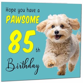 85th Birthday Card for Men Women Dog Pawsome Birthday Card for 85 Year old Woman Ladies Grandma Mum Aunt Nan Friend Sister Eighty Five Eighty Fifth Nanny