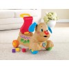 Andadera Para Bebés Fisher-price Perrito Camina Conmigo Multicolor (Usado)
