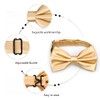 Alizeal Mens Tuxedo Bow Tie, Hanky and Cufflinks Set (Champagne)