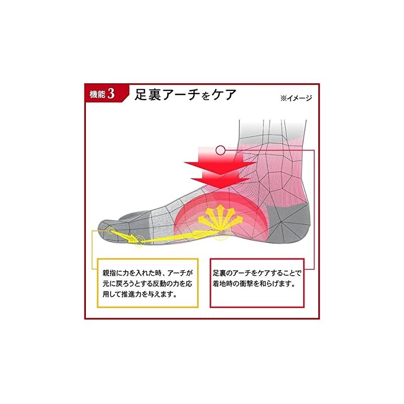 Goodsman Activital Foot Supporter, XS, 7.5 - 8.7 inches (19