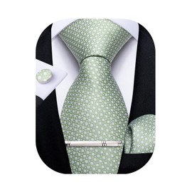 DiBanGu - Juego de corbatas de seda a cuadros para hombre, corbata y bolsillo cuadrados, con caja de regalo para bodas y negocios, Un verde salvia, Talla única