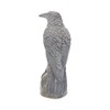 Nemesis Now Ravens Rest Figurine 20cm Black