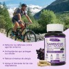 Gwynne Sambucus Suplemento Cápsulas Extracto Sauco 1000mg Vitamina Zinc Quercetina