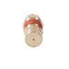 CAC-437-2 Air Compressor Check Valve,Brass 1/2 NPT & 1/2 CFPC