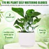 2 Pack 26 oz Extra Large Plant Self Watering Globes