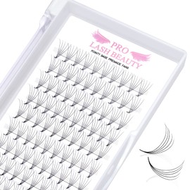 Pre Made Fan Eyelash Extensions 5D-D-0.07-10 Pointy Base Premade Fans Eyelash Extension 0.05 0.07 0.10 Lash Extensions Pre Fanned Russian Volume Lashes C D curl（5D-D-0.07-10）