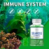Persepolis Sea Moss Gummies Irish Sea Moss with Bladderwrack and