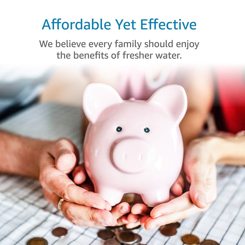 AQUA CREST FXSCH Shower Filter Replacement for GE, Every 6