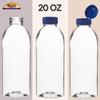 Rani Clear Plastic Bottles | 20oz PET Bottle with Flip-top