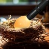 Schierlampe für Hühnereier, Schierlampe wachteleier wiederaufladbar, LED Eiertester mit USB-Ladegerät