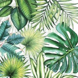 Ambiente Serviettes 25 x 25 Cocktail Party Tropical Leaves – Ideal as a Gift