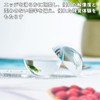 EsiFare Paper Weight Transparent Hemispherical 5.5cm Diameter Glass Magnifier Calligraphy