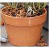 Orchid Nerd Galvanized Rhizome Clip for Clay Pot Variety 30