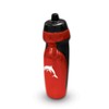 Redcliffe Dolphins NRL Rugby League Sports Bottle 640ml