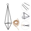 CAXUSD 2Pcs Iron Air Plant Holders Hanging Plant Shelves for