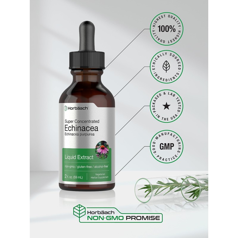 Horbaach Echinacea Drops Herb Tincture | 2 fl oz |
