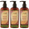 Zen Rain Lotion 6 oz(pack of 3)