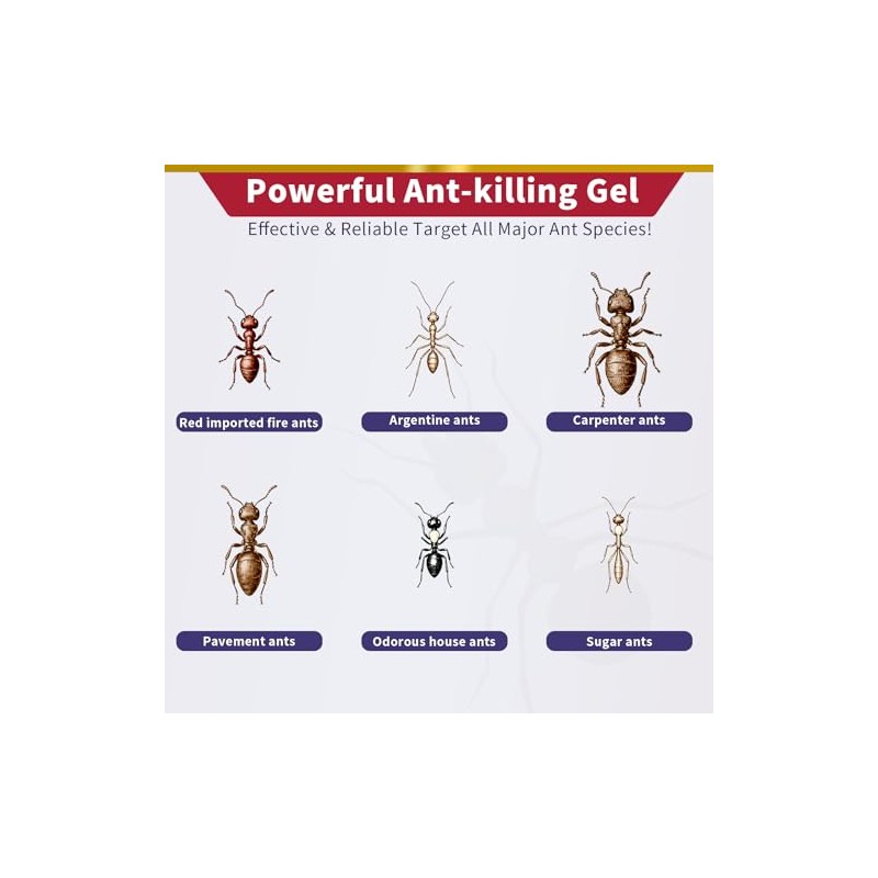 Ant Killer Gel for Indoors and Outdoors, Powerful Ant Control
