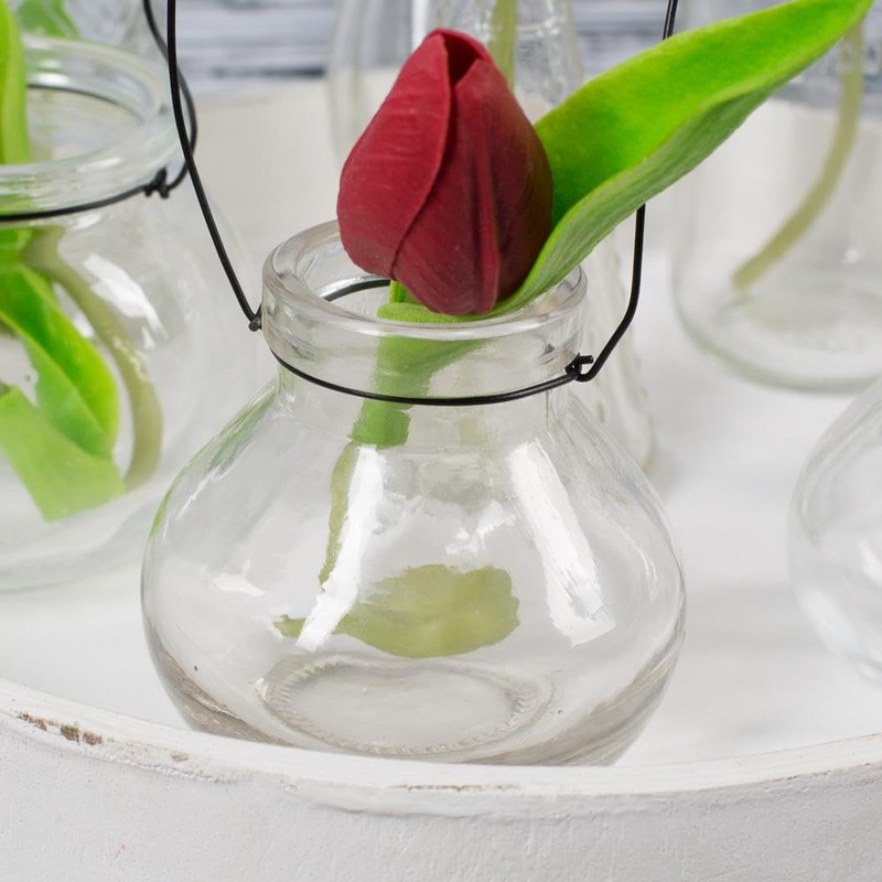Richland Vintage Jar Mini Hanging Glass Vase Set of 12