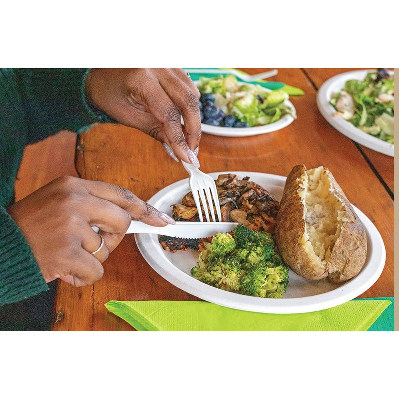 50Pack 9inch Party Plates Disposable Sugarcane Bagasse Plates - Heavy