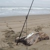 mazume MZAS-840 Surf Rod Stand, Stainless Steel, Silver