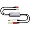 Audio Noise Filter Adapter:Dual 6.35mm 1/4" TRS Male to 2