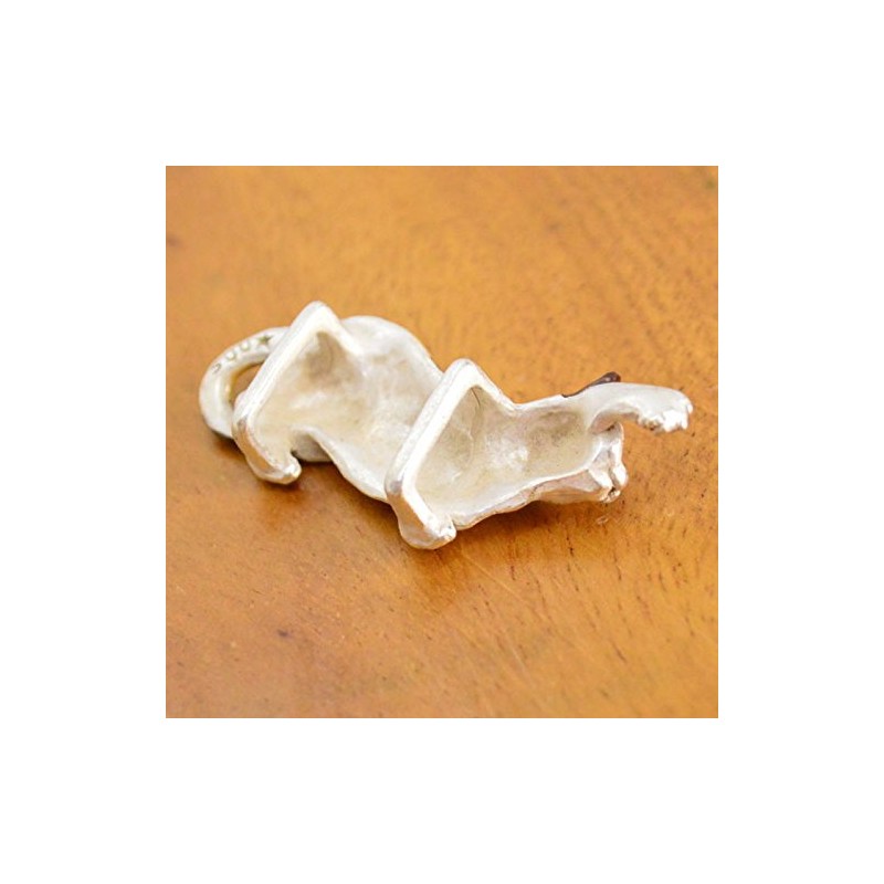 Parnar Topock Obi Belt Clip, Naughty Three Hair, Cat, Realistic,