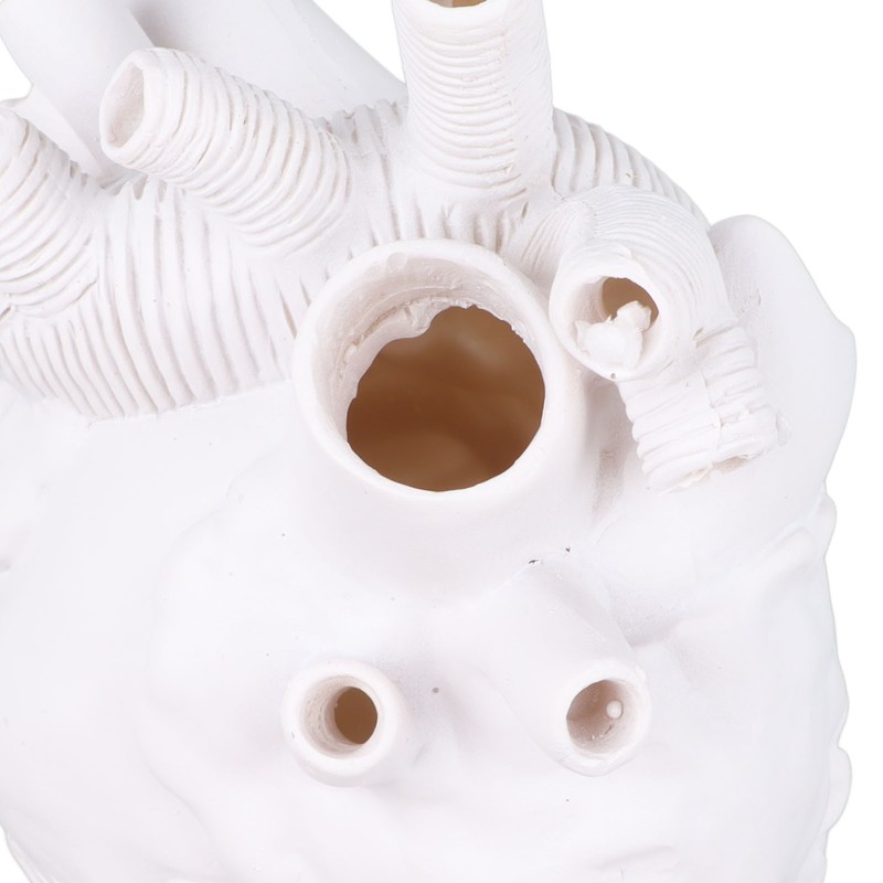 Creative Anatomical Heart Vases Resin Sculpture Heart Shaped Art Flower