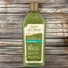 Dalan Shampoo Set Volume Shampoo Set Naturally Derived Pure Olive Oil Nourishing Shampoo Volumizing 1pc 400ml / 달란 샴푸세트 볼륨샴푸세트 자연유래 퓨어 올리브오일 너리싱 샴푸 볼류마이징 1개 400ml