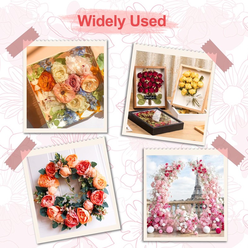 suobo Silica Gel Flower Drying, 6LBS Flower Preservation Kit, Color